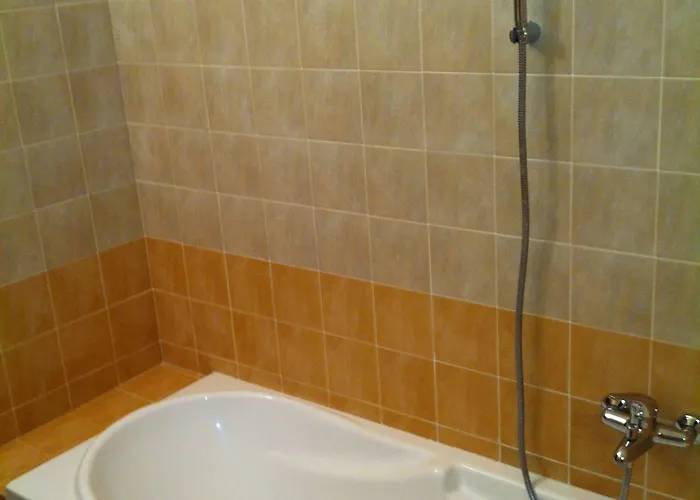 The Maze 维博瓦伦蒂亚